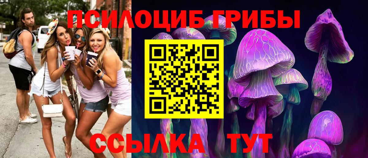 Стрежевой  Галлюциногенные грибы Cubensis  Вход с VPN 